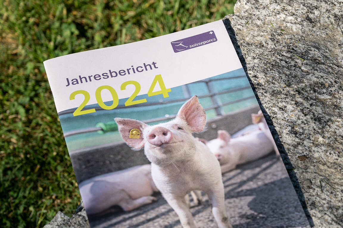 Visionaer Referenz: Suisseporcs Jahresbericht, welcher auf dem Stein liegt.