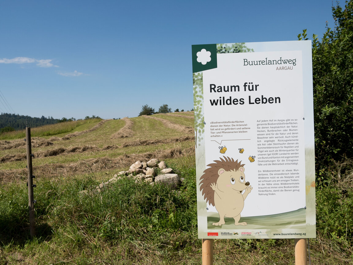 Visionaer Referenz: Buurelandweg Aargau mit verschiedenen Stationen, Kühen, Schweinen und Spiele.
