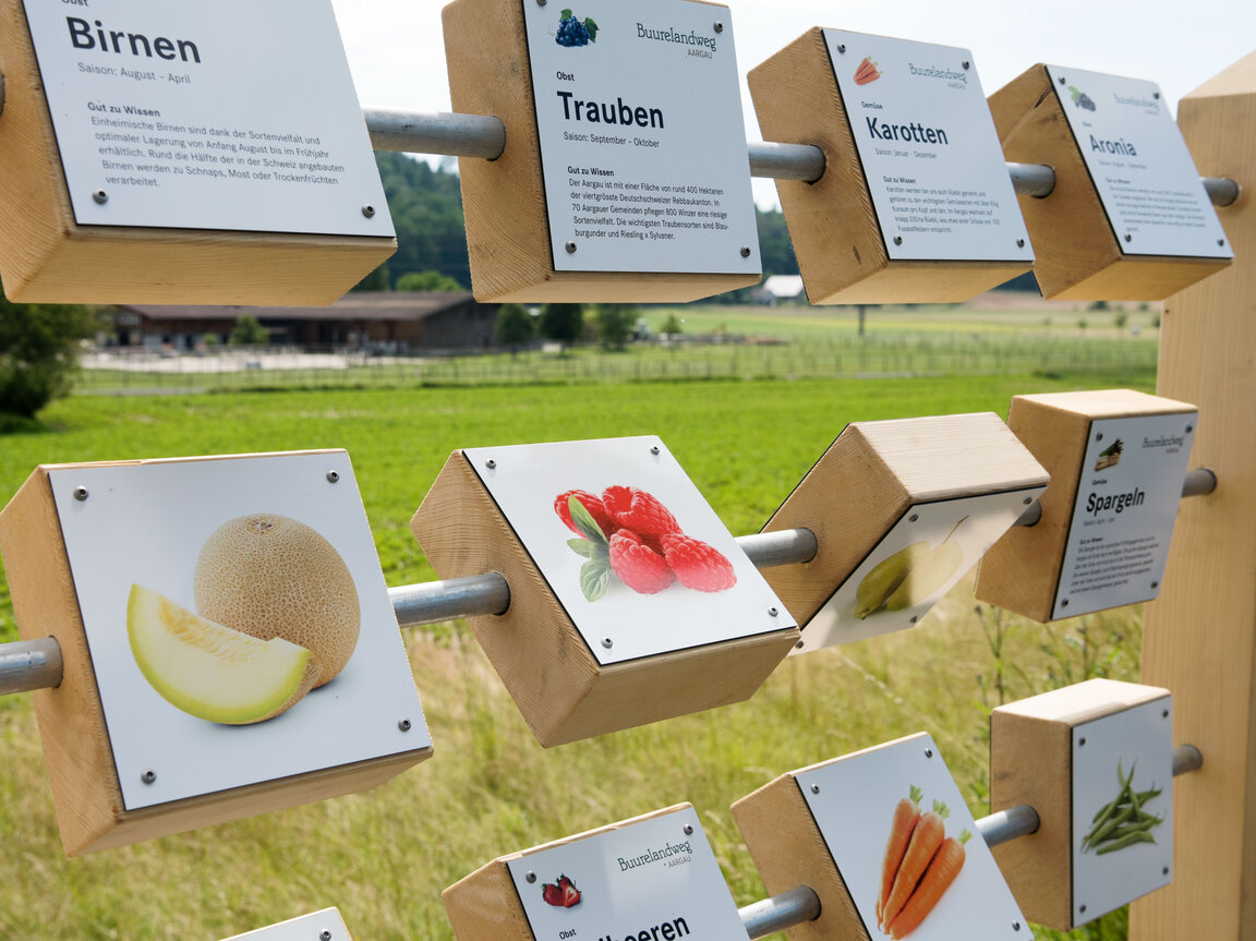 Visionaer Referenz: Buurelandweg Aargau mit verschiedenen Stationen, Kühen, Schweinen und Spiele.