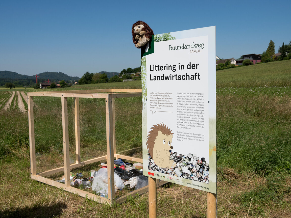 Visionaer Referenz: Buurelandweg Aargau mit verschiedenen Stationen, Kühen, Schweinen und Spiele.