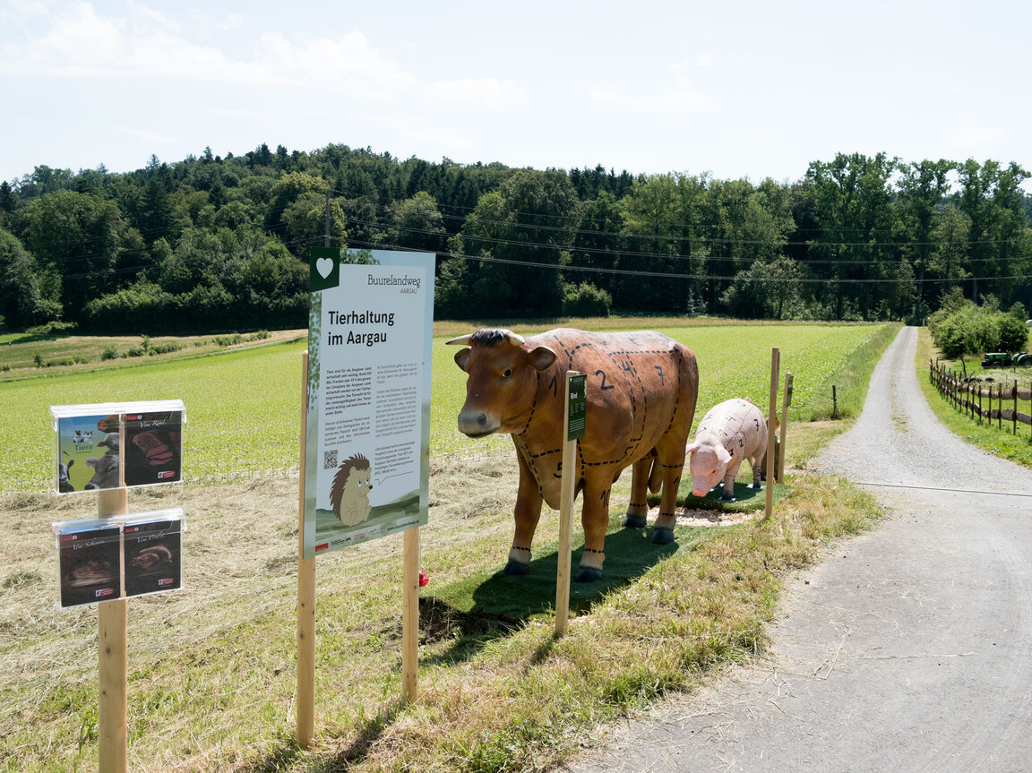 Visionaer Referenz: Buurelandweg Aargau mit verschiedenen Stationen, Kühen, Schweinen und Spiele.